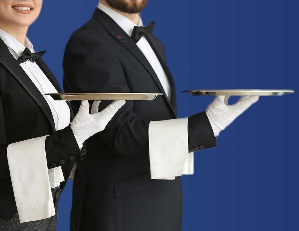 HireMyVA White Glove Service (we get a VA for you) - Technical VA